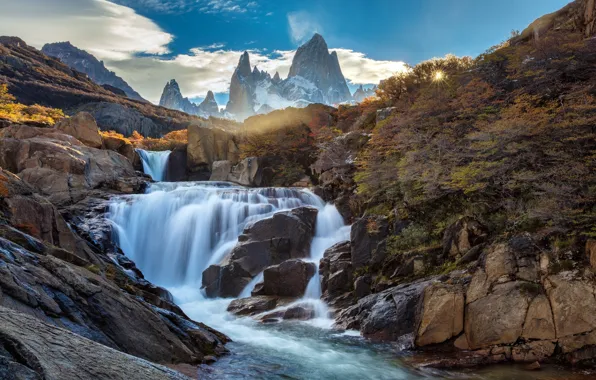Sunset, Patagonia, Forrest, parque nacional los glaciares