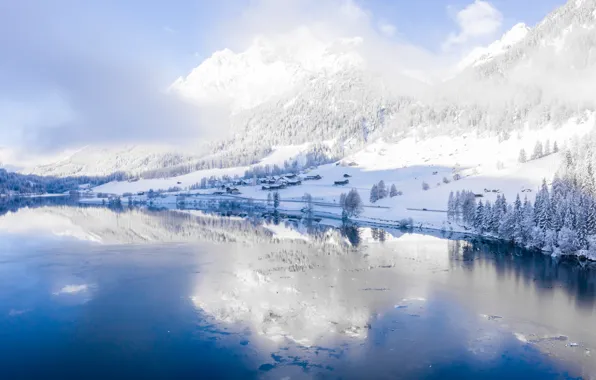 Картинка зима, снег, деревья, пейзаж, река, елки, forest, river