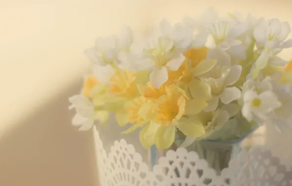 Свет, цветы, фон