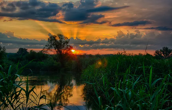 Вода, природа, Пейзажи