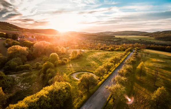 Road, trees, sunset