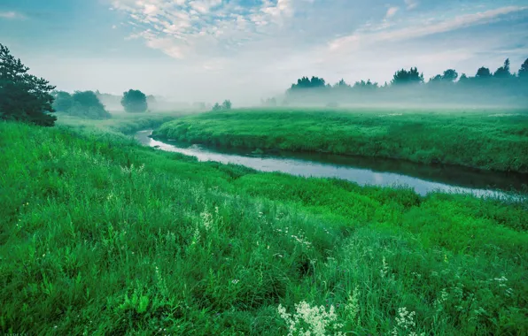 Луга, Туман, Утро, Речка