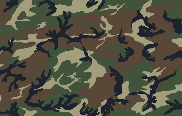 Military, nature, camuflaj