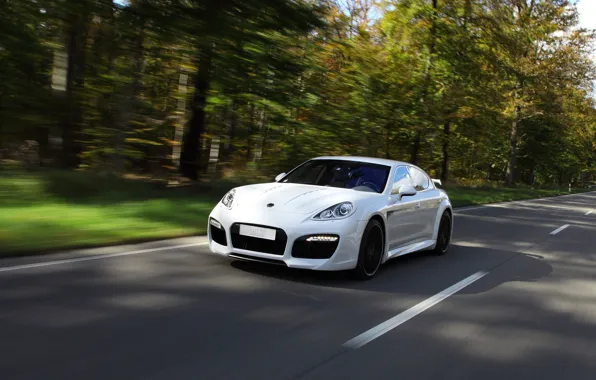 Дорога, белый, скорость, Porsche, Деревя
