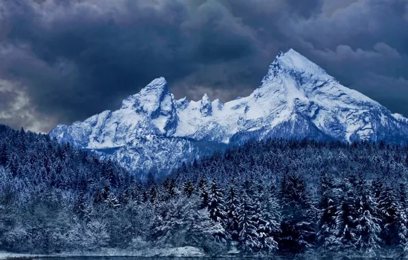 Зима, лес, небо, облака, снег, горы, тучи
