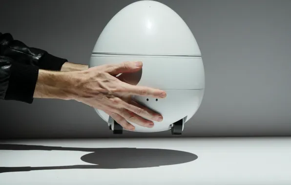Robot, man, home, hand, technology, projector, CES 2017, robot egg