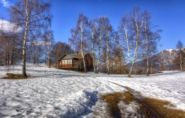 Картинка зима, снег, дом, берёзы