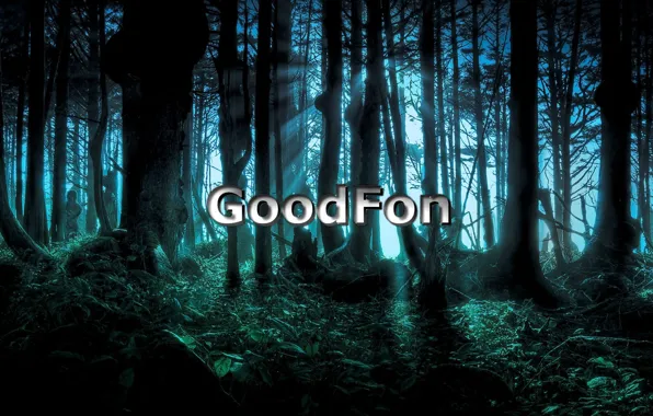 Forest, night, GoodFon