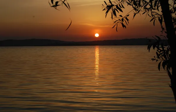Закат, Небо, Вода, Природа, Листья, Nature, Sky, Water