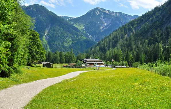 Картинка трава, пейзаж, горы, природа, Австрия, Tyrol, Eben am Achensee