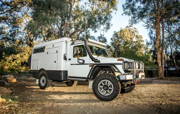 Деревья, Mercedes-Benz, внедорожник, G-Class, Escape, 2019, Earthcruiser