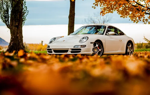 Картинка осень, белый, небо, листья, 911, Porsche, white, порше
