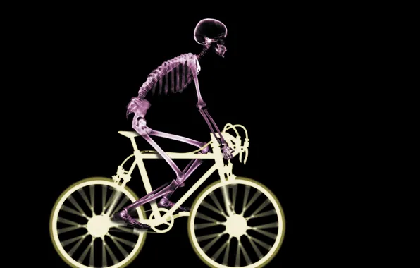 Картинка велосипед, скелет, рентген