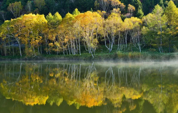 Картинка осень, вода, деревья, туман, озеро, отражение, склон