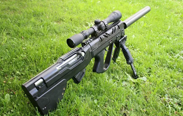 Картинка grass, tikka t3 ctr ss, long range rifle