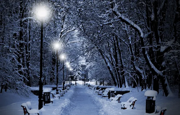 Картинка зима, снег, деревья, огни, парк, вечер, фонари, лавочки