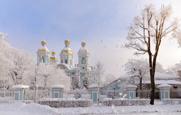 Зима, иней, небо, снег, деревья, ветки, город, дерево