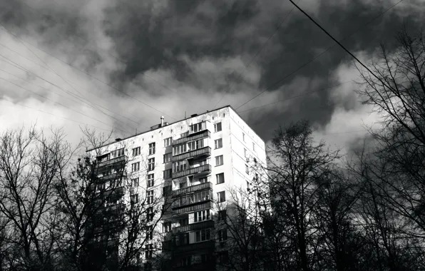 Небо, деревья, дом, чб фотография