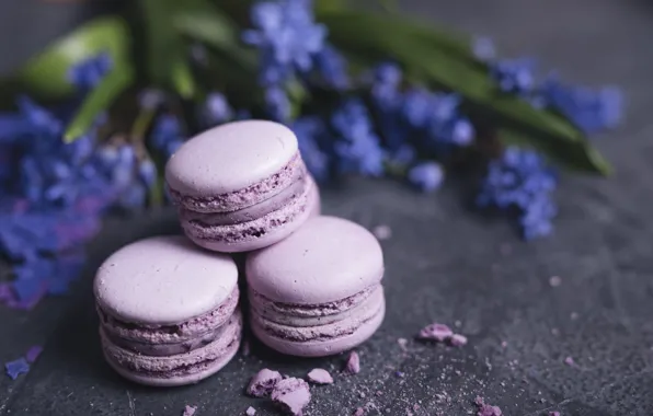 Букет, печенье, десерт, лаванда, macaron, миндальное