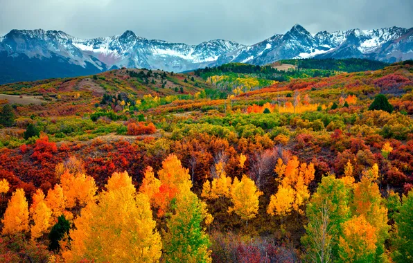 Осень, лес, небо, облака, деревья, пейзаж, горы, природа