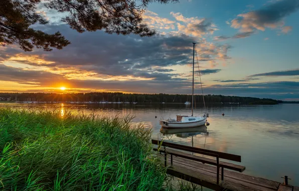 Картинка лес, трава, пейзаж, закат, природа, озеро, лодка, берега