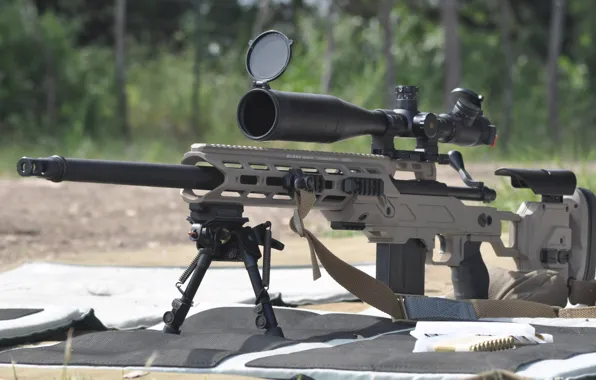 Оружие, Drake Associates, Remington, Stalker 700, снайперское