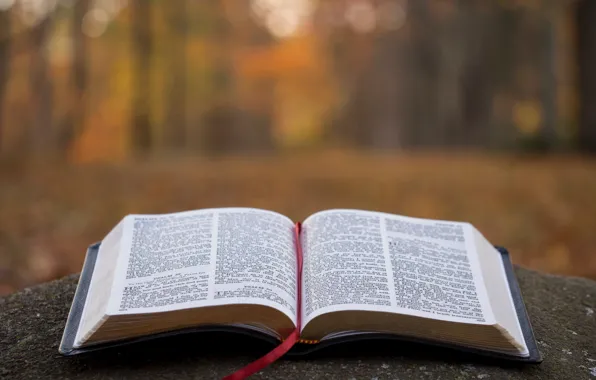 Christian, Bible, Aaron Burden, Holy Bible