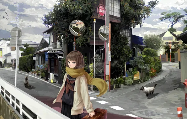 Девушка, кошки, город, улица, аниме, чемодан, art, Mikipuruun No Naegi