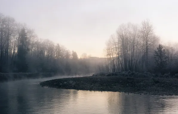 Туман, река, утро