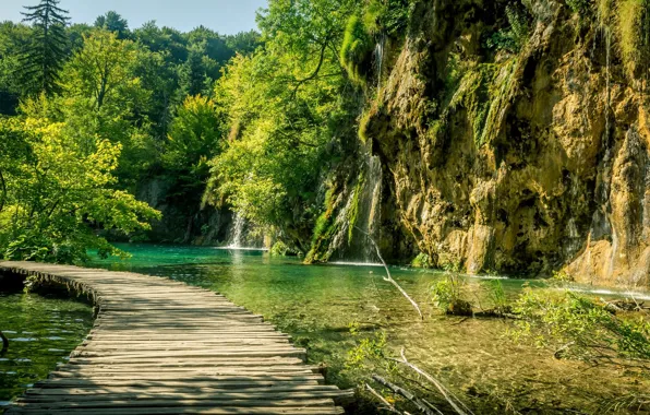 Зелень, озеро, дорожка, Хорватия, Плитвицкие озёра