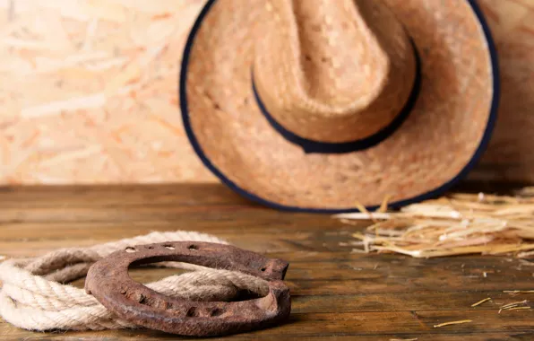 Hat, Leather, horseshoe