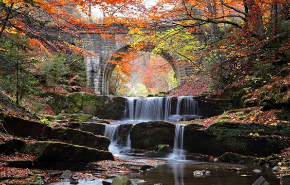 Картинка осень, вода, деревья, мост, река, камни, каскад