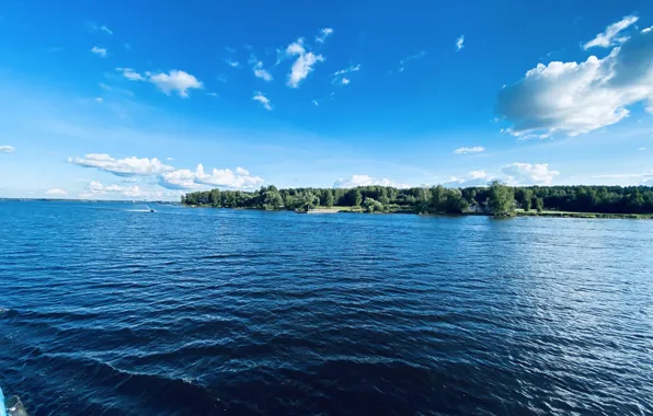 Лес, река, прогулка, волга, калязин, речная прогулка