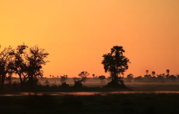 River, fog, sunrise, silhouettes