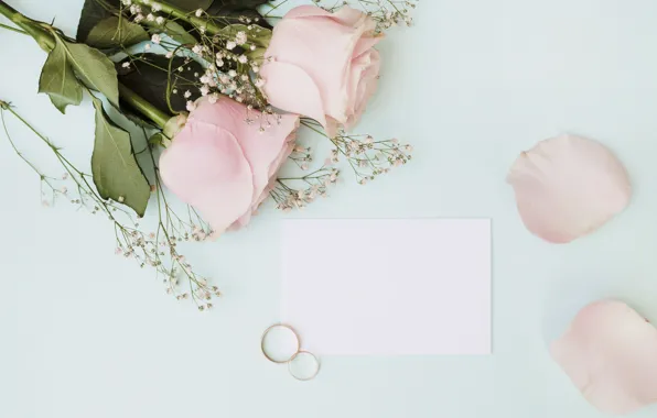 Цветы, розы, букет, кольца, pink, flowers, roses