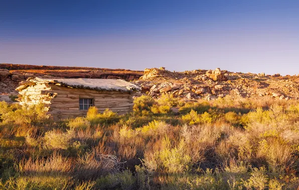 Поле, пейзаж, дома