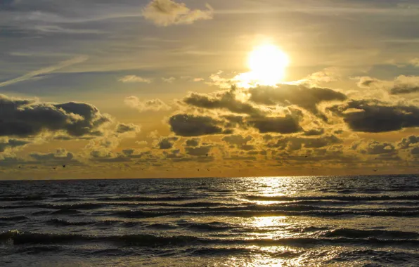 Sunset, dune, denmark, north sea