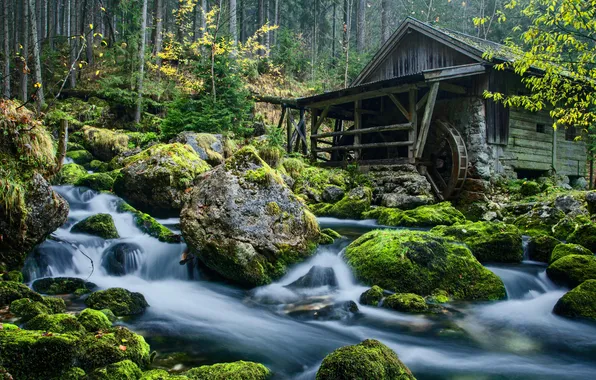 Осень, лес, камни, водопад, мох, водяная мельница
