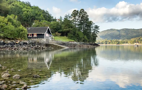 Картинка лес, небо, облака, река, домик, Испания, Northern Basque Country