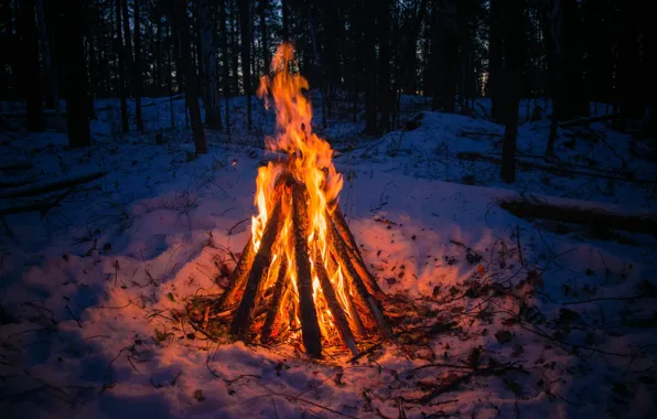 Картинка зима, лес, снег, одиночество, тепло, костер, Урал, у огня