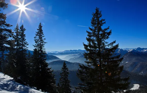 Картинка горы, Германия, ели, Germany, Bavarian Alps, Баварские Альпы