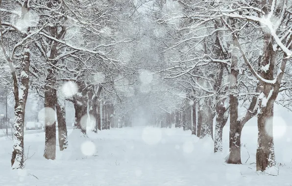 Снег, город, улица