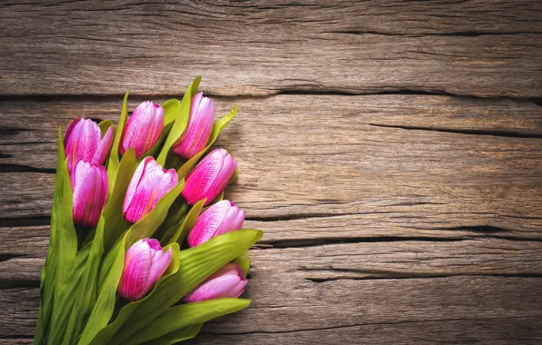 Картинка цветы, тюльпаны, розовые, wood, pink, flowers, beautiful, tulips