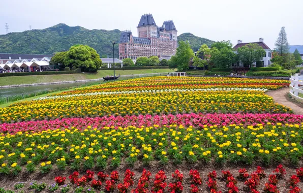 Картинка цветы, парк, Япония, Japan, Sasebo, Huis Ten Bosch Park, Парк Хёйс-тен-Бос, Сасебо