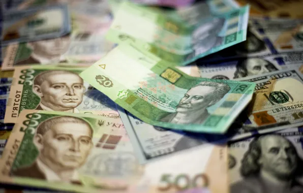 Деньги, доллары, Украина, валюта, гривни