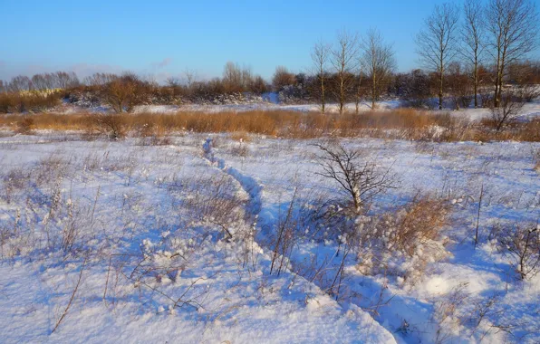 White, field, winter, snow, cold, meadow