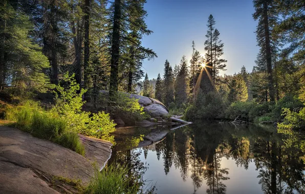 Лес, пейзаж, озеро