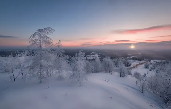 Картинка зима, снег, деревья, рассвет, утро, сугробы, Россия, Пермский край