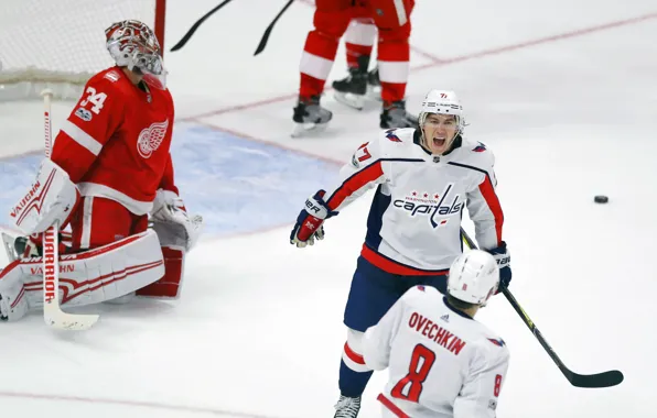 Игра, Спорт, Лед, Вашингтон, Лёд, Detroit, NHL, НХЛ