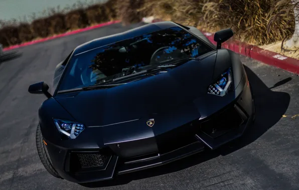 Lamborghini, black, Aventador